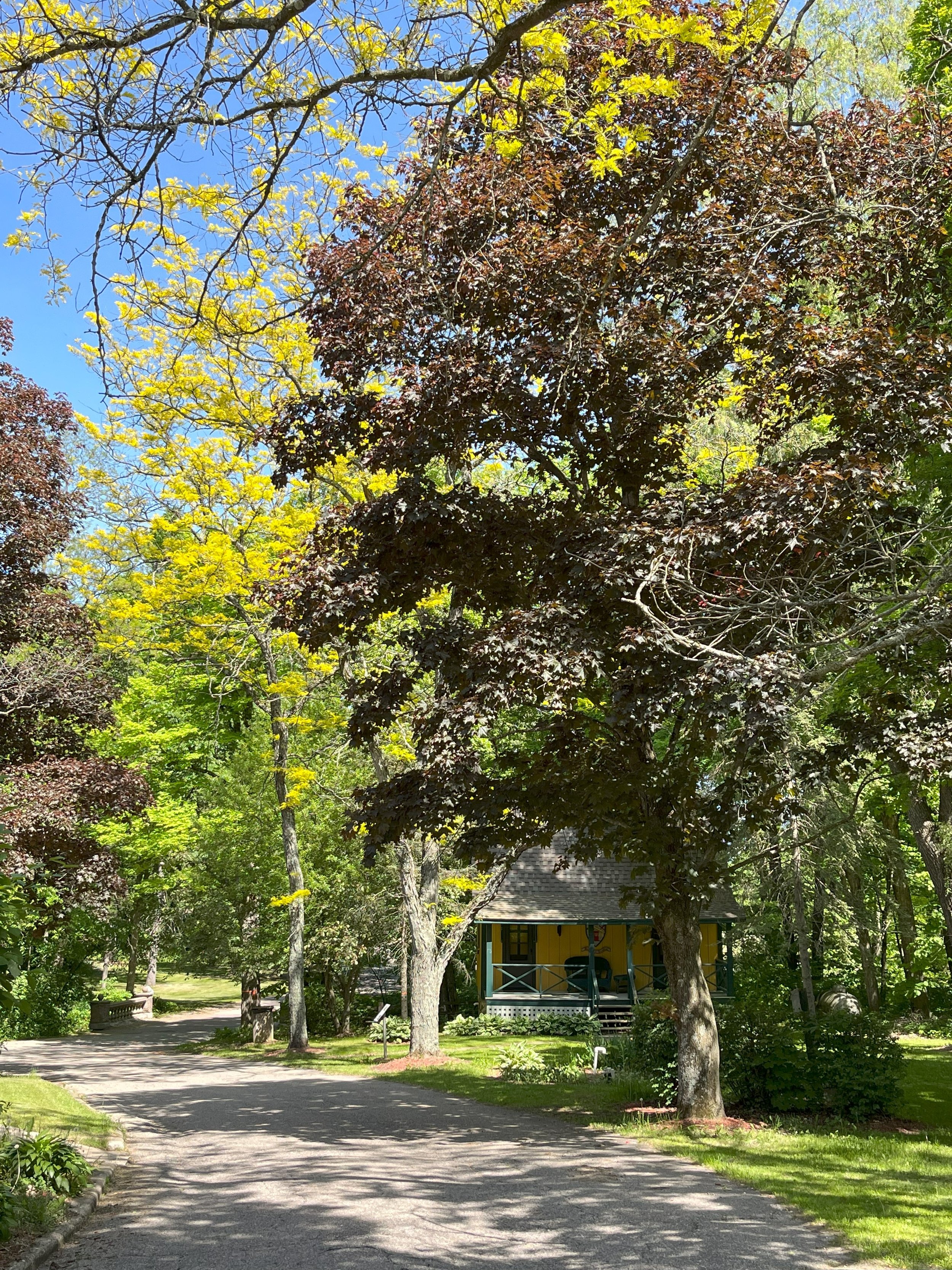 Hiking trail through the glen